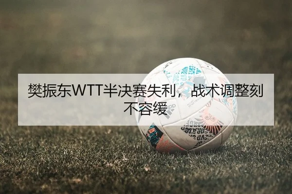 樊振东WTT半决赛失利，战术调整刻不容缓